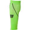 Allsport Calf Sleeve - Men's