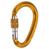 Compact Bet Lock 