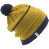 Coal Carlson Beanie
