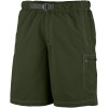 Palmerston Peak Short - Men's