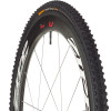 Continental Speed King Cyclocross Tire - Clincher