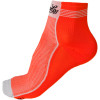 Campagnolo Sportswear Racing Long Sock