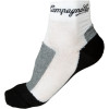 Campagnolo Sportswear Thermo Mesh Sock 