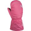 DAKINE Hornet Mitten - Toddler