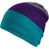 DAKINE Lester Beanie - Men's