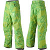 DC Ginn Pants - Men's