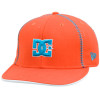 DC 2094 Limited Edition New Era Hat