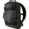 DC Standard Skate Backpack