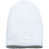 DC Yepa Beanie