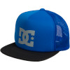 Dweeter Trucker Hat - Boys'
