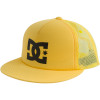 DC Dweeter Trucker Hat - Boys'