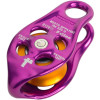 Pinto Pulley Rig
