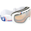 Dragon Rogue Goggle