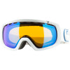 Dragon Rogue Goggle