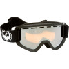 D2 Goggle