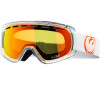 D2 Goggle