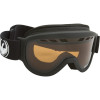 Dragon D1XT Goggle