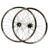 Easton Havoc DH Disc - Wheelset