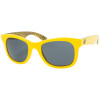 Electric Detroit Sunglass
