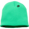 Electric Eaglet Beanie