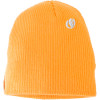 Electric Eaglet Beanie