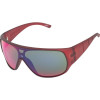 Shaker Sunglasses