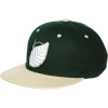 Elm Company Leaf Snapback Hat