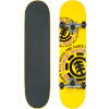 Element Dipped Dispersion Complete Skateboard