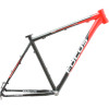Focus Black Forest 29er Frameset