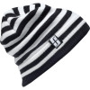 Forum Waldo Beanie