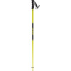 Dubs Ski Pole