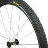 Saguaro Tire - Tubular - 29in
