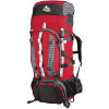 Gregory Denali Pro Backpack - 6450 cu in