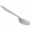 GSI Outdoors Lexan Teaspoon  