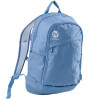 Battery Backpack