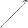 Head Skis USA I Carbon Ski Pole