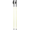 Passport Tension Lock Trekking Poles