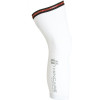 Arenberg Knee Warmer