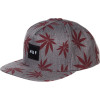 Plantlife Box Logo Snapback Hat