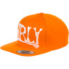 Bones Flexfit Snapback Hat