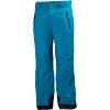 Helly Hansen Legend Pant - Men's