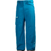 Helly Hansen Agenda Cargo Pant - Men's