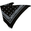 Icebreaker Bandana