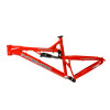 Intense Cycles Tracer VP Frame - 2009