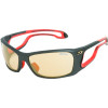 Pipeline Sunglasses - Zebra Antifog Polarized/Photochromic Lens