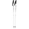 Joystick Skeletor Ski Poles