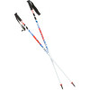 Joystick Koi Ski Pole
