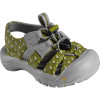 Sunport Sandal - Toddlers'/Infants'