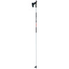 LEKI Cruise Carbon Ski Pole