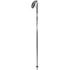 LEKI Blast Ski Pole